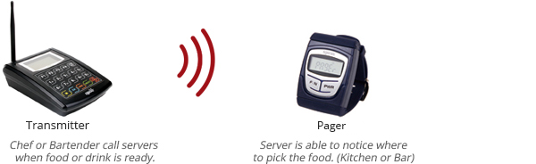 Wireless server paging system
